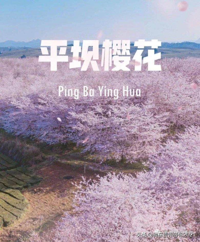 丛林之决战